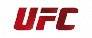 Anfaenger Sportwetten UFC
